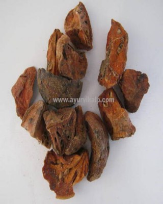 BEALPHAL DRIED FRUIT, Aegle Marmelos, Raw Whole Herbs of India